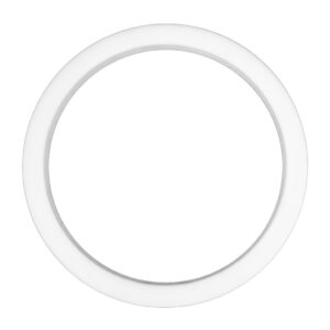 100mm Hydrolet Valve Sealing Disc PTFE Seal